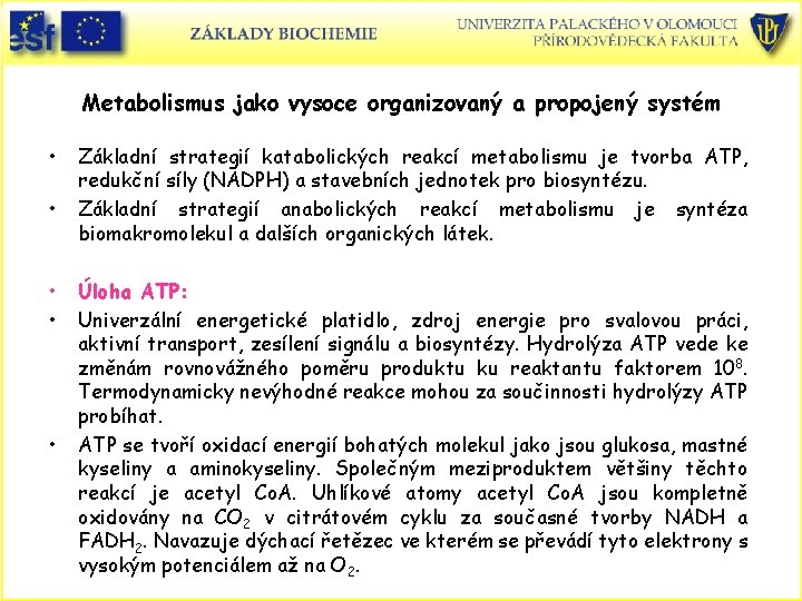 Metabolismus jako vysoce organizovaný a propojený systém • • • Základní strategií katabolických reakcí