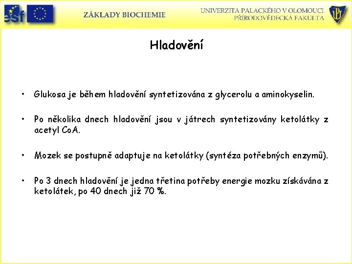 Hladovění • Glukosa je během hladovění syntetizována z glycerolu a aminokyselin. • Po několika