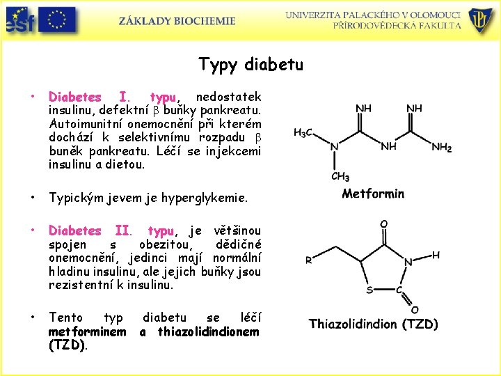 Typy diabetu • Diabetes I. typu, nedostatek insulinu, defektní b buňky pankreatu. Autoimunitní onemocnění