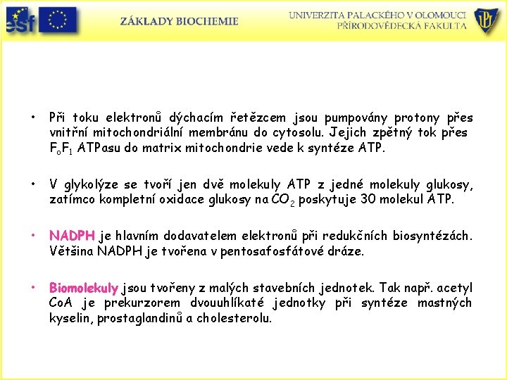  • Při toku elektronů dýchacím řetězcem jsou pumpovány protony přes vnitřní mitochondriální membránu