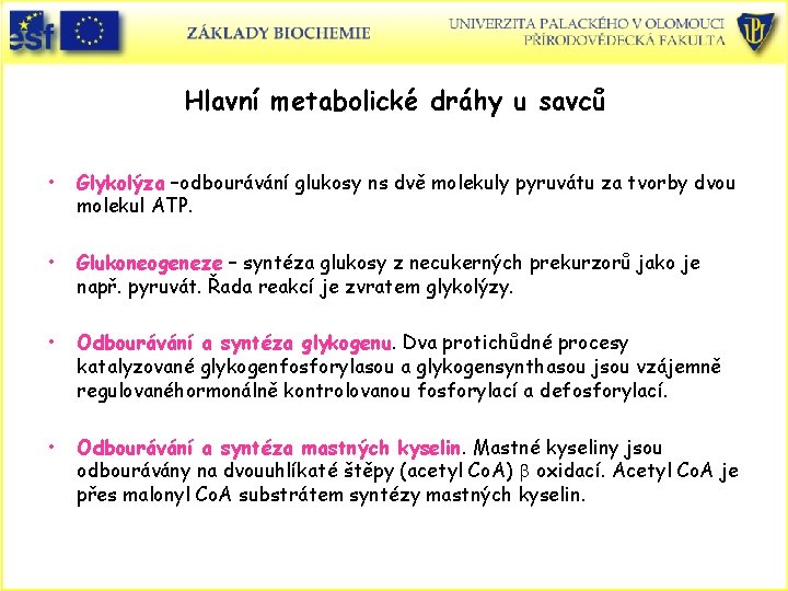 Hlavní metabolické dráhy u savců • Glykolýza –odbourávání glukosy ns dvě molekuly pyruvátu za