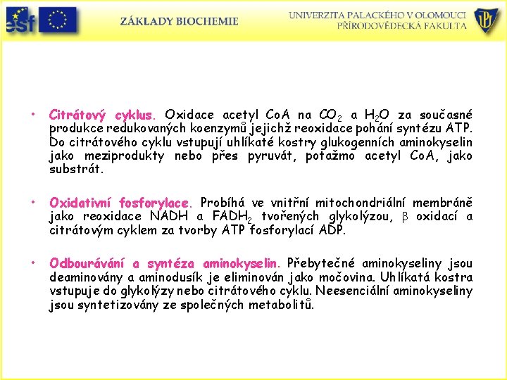  • Citrátový cyklus. Oxidace acetyl Co. A na CO 2 a H 2