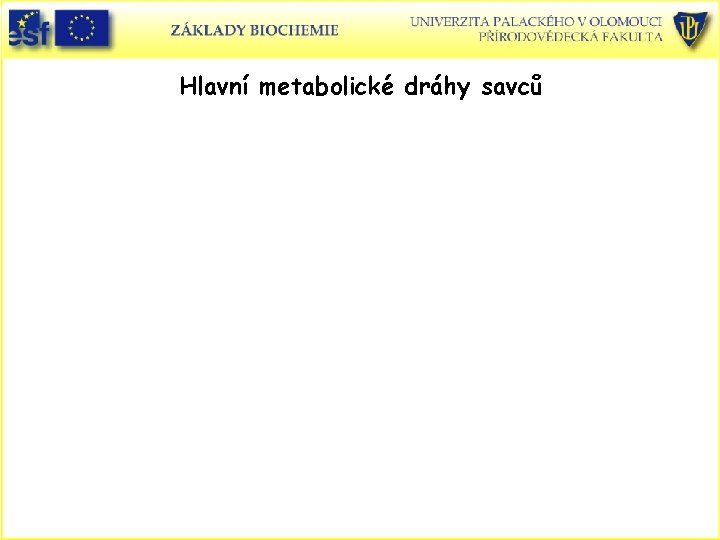 Hlavní metabolické dráhy savců 