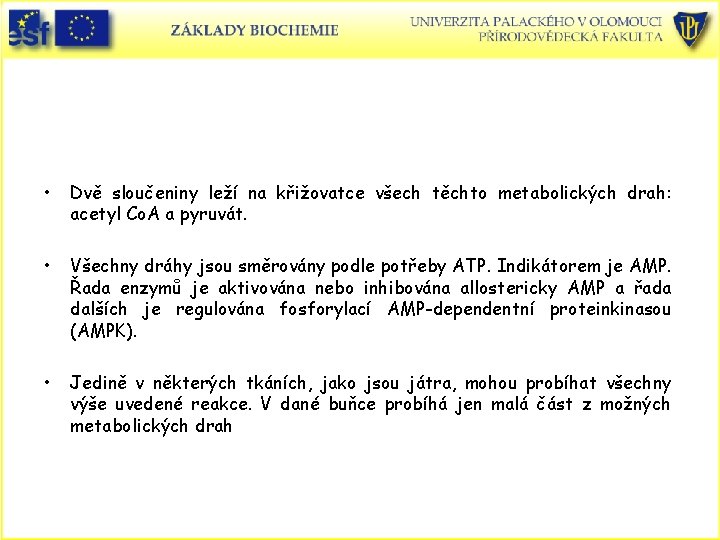  • Dvě sloučeniny leží na křižovatce všech těchto metabolických drah: acetyl Co. A