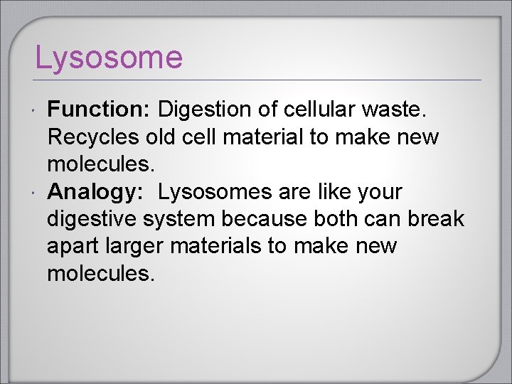 Lysosome Function: Digestion of cellular waste. Recycles old cell material to make new molecules.