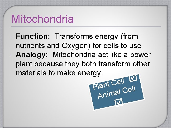 Mitochondria Function: Transforms energy (from nutrients and Oxygen) for cells to use Analogy: Mitochondria