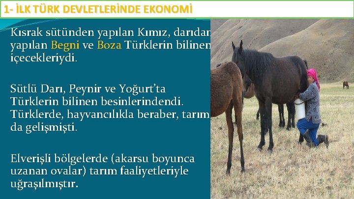 1 - İLK TÜRK DEVLETLERİNDE EKONOMİ Kısrak sütünden yapılan Kımız, darıdan yapılan Begni ve