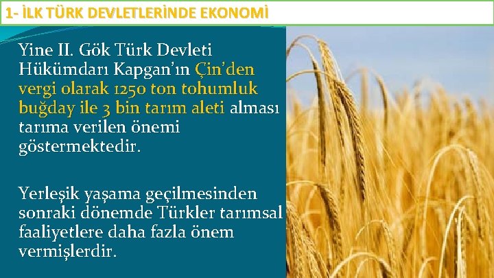 1 - İLK TÜRK DEVLETLERİNDE EKONOMİ Yine II. Gök Türk Devleti Hükümdarı Kapgan’ın Çin’den