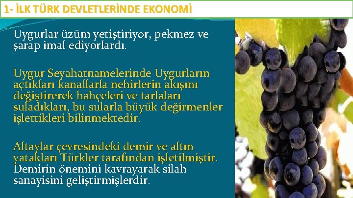 1 - İLK TÜRK DEVLETLERİNDE EKONOMİ Uygurlar üzüm yetiştiriyor, pekmez ve şarap imal ediyorlardı.