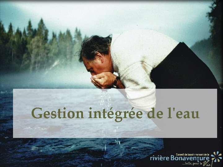 Gestion intégrée de l'eau 