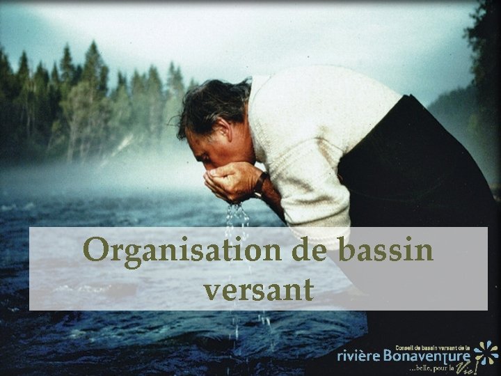 Organisation de bassin versant 