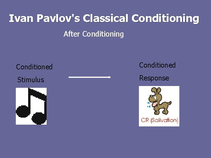 Ivan Pavlov's Classical Conditioning After Conditioning Conditioned Stimulus Response 