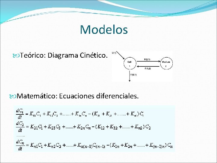 Modelos Teórico: Diagrama Cinético. Matemático: Ecuaciones diferenciales. 