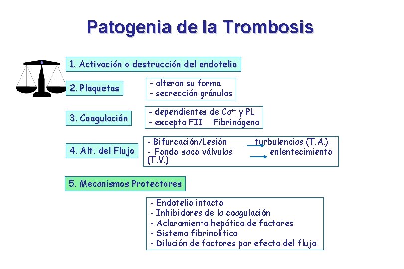 Patogenia de la Trombosis 1. Activación o destrucción del endotelio 2. Plaquetas - alteran