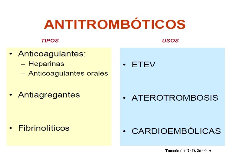 Tomada del Dr D. Sánchez 