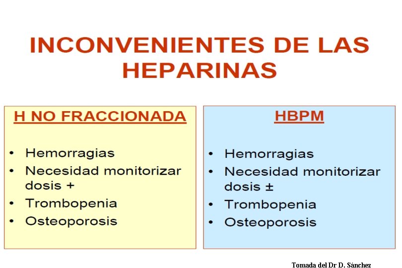 Tomada del Dr D. Sánchez 