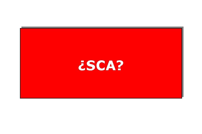 ¿SCA? 