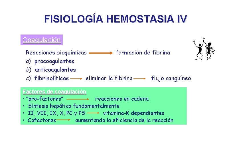 FISIOLOGÍA HEMOSTASIA IV Coagulación Reacciones bioquímicas formación de fibrina a) procoagulantes b) anticoagulantes c)