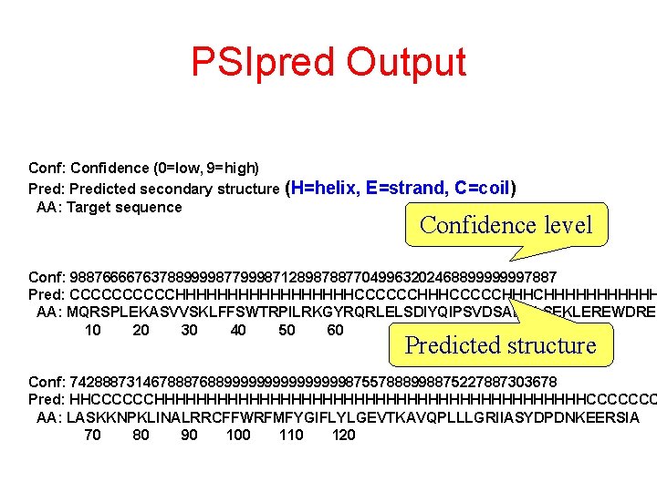 PSIpred Output Conf: Confidence (0=low, 9=high) Pred: Predicted secondary structure (H=helix, AA: Target sequence