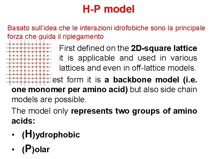 H-P model Basato sull’idea che le interazioni idrofobiche sono la principale forza che guida