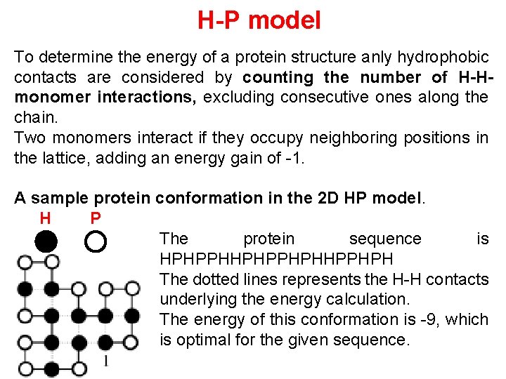 H-P model To determine the energy of a protein structure anly hydrophobic contacts are