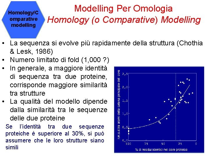 Homology/C omparative modelling Modelling Per Omologia Homology (o Comparative) Modelling • La sequenza si