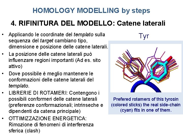 HOMOLOGY MODELLING by steps 4. RIFINITURA DEL MODELLO: Catene laterali • Applicando le coordinate