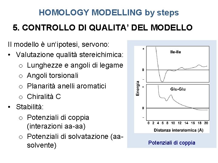 HOMOLOGY MODELLING by steps 5. CONTROLLO DI QUALITA’ DEL MODELLO Il modello è un‘ipotesi,
