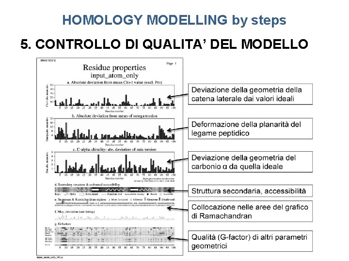 HOMOLOGY MODELLING by steps 5. CONTROLLO DI QUALITA’ DEL MODELLO 