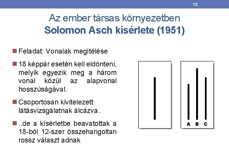 12 Az ember társas környezetben Solomon Asch kísérlete (1951) Feladat: Vonalak megítélése 18 képpár