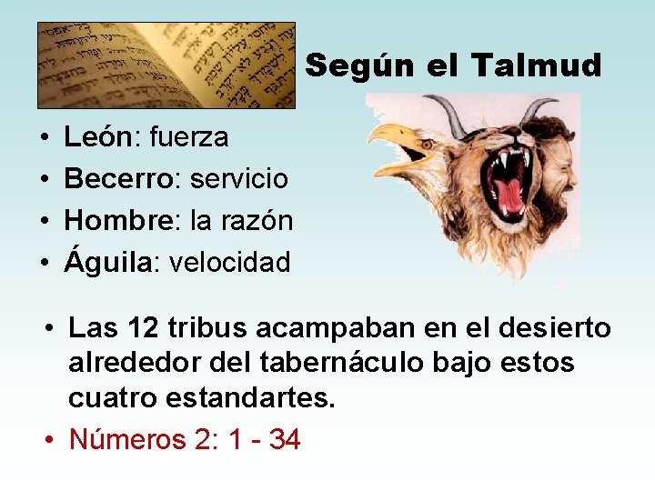 Según el Talmud • • León: fuerza Becerro: servicio Hombre: la razón Águila: velocidad