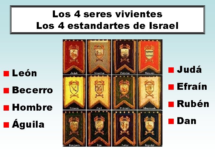 Los 4 seres vivientes Los 4 estandartes de Israel León Judá Becerro Efraín Hombre