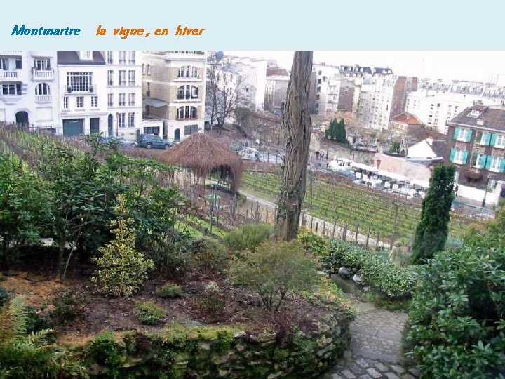 Montmartre la vigne , en hiver 