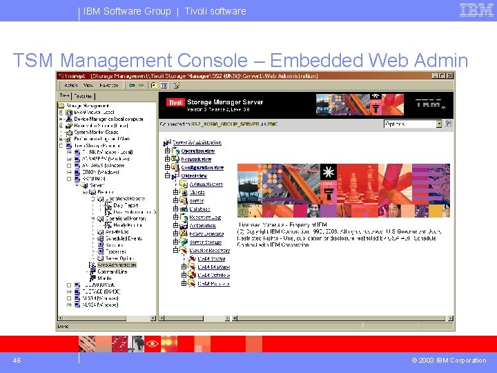 IBM Software Group | Tivoli software TSM Management Console – Embedded Web Admin 46