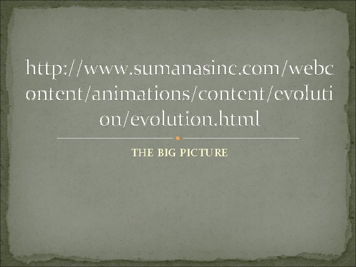 http: //www. sumanasinc. com/webc ontent/animations/content/evoluti on/evolution. html THE BIG PICTURE 