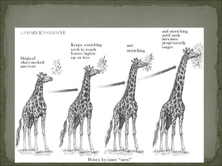 Copyright Pearson Prentice Hall 