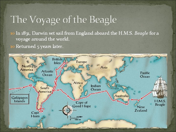 The Voyage of the Beagle In 1831, Darwin set sail from England aboard the