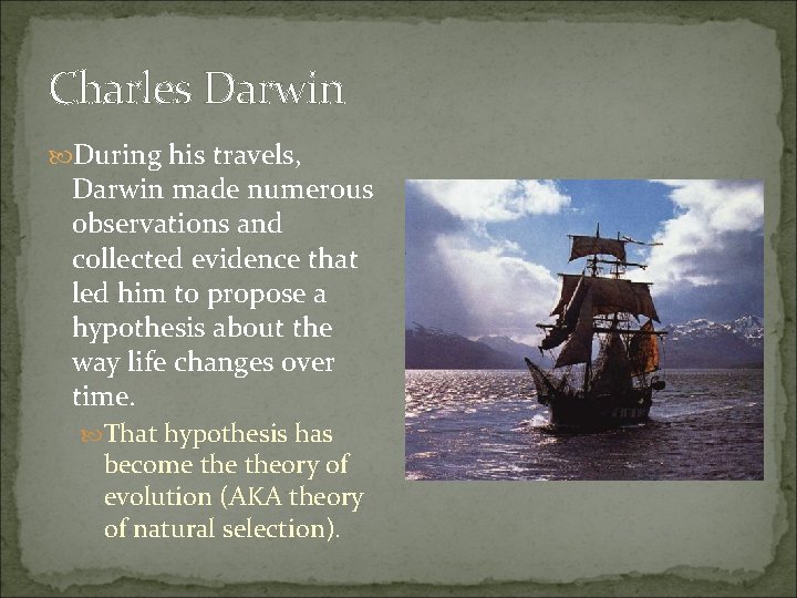 Charles Darwin During his travels, Darwin made numerous observations and collected evidence that led