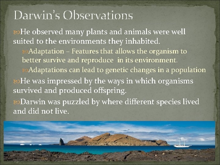 Darwin’s Observations He observed many plants and animals were well suited to the environments