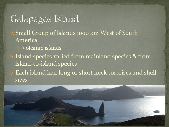 Galapagos Island Small Group of Islands 1000 km West of South America Volcanic islands