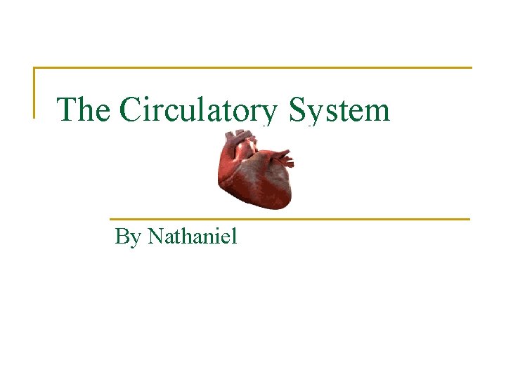 The Circulatory System By Nathaniel 