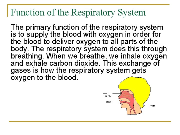 Function of the Respiratory System The primary function of the respiratory system is to