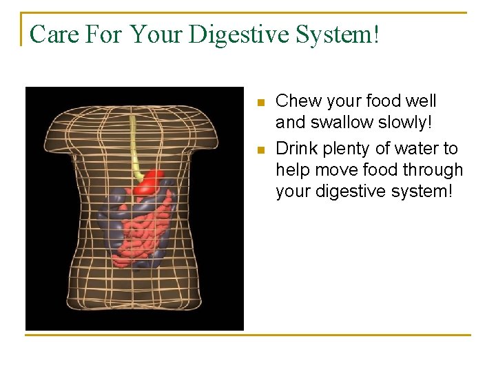 Care For Your Digestive System! n n Chew your food well and swallow slowly!