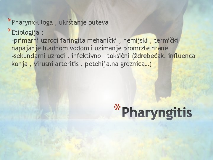 *Pharynx-uloga , ukrštanje puteva *Etiologija : -primarni uzroci faringita mehanički , hemijski , termički