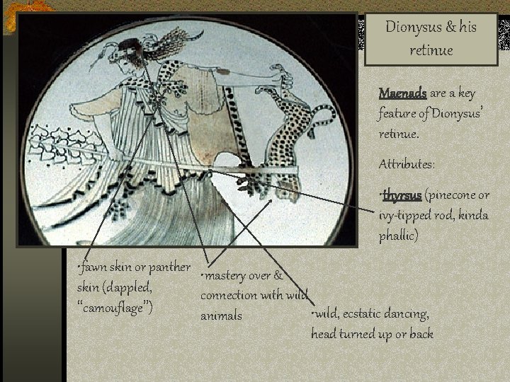 Dionysus & his retinue Maenads are a key feature of Dionysus’ retinue. Attributes: •