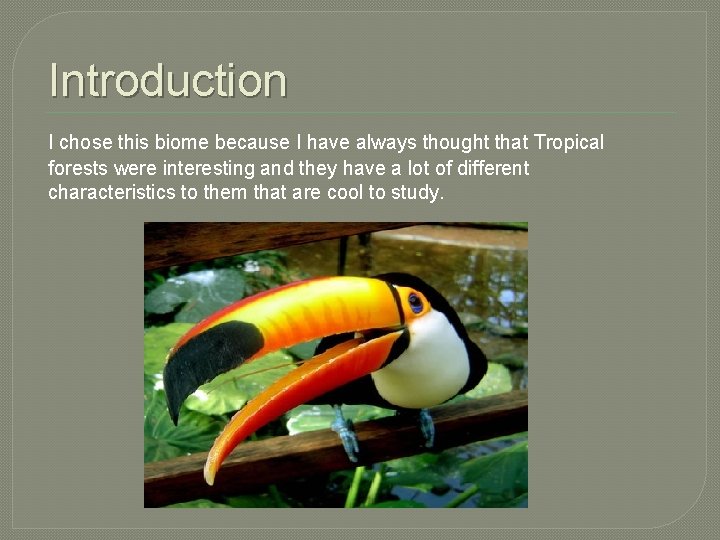 Introduction I chose this biome because I have always thought that Tropical forests were