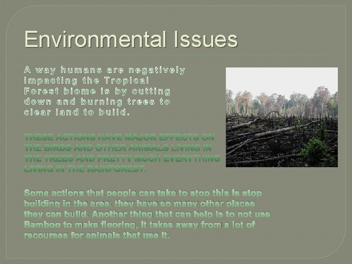 Environmental Issues Some actions that people can take to stop this is stop building