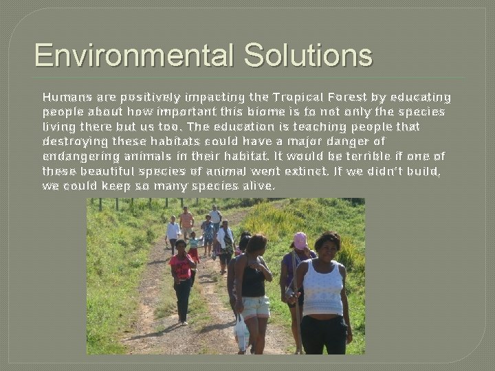 Environmental Solutions Humans are positively impacting the Tropical Forest by educating people about how