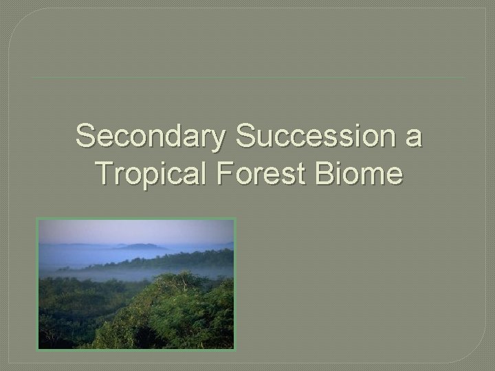Secondary Succession a Tropical Forest Biome 