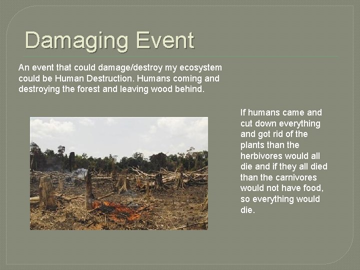 Damaging Event An event that could damage/destroy my ecosystem could be Human Destruction. Humans